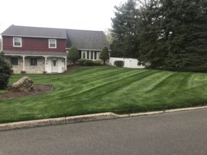 Mowing and Lawn Care Services