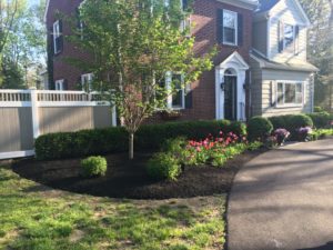 Landscaping and planting services