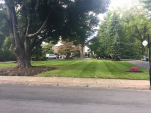 Landscaping maintenance for residential areas