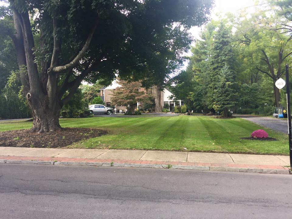 Landscaping maintenance for residential areas