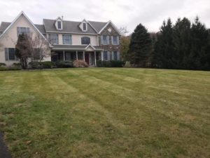 Sod and planting services