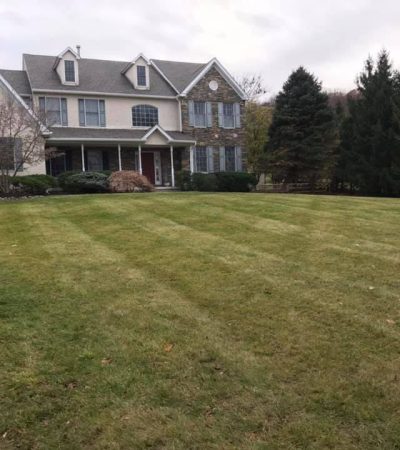Sod and planting services