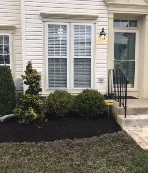 What is mulch used for?